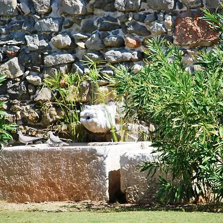 De Sao Joao Da Barra 4* קבאנס דה טאבירה